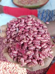 Nambaale Beans Long – product photo 2, product detail gallery